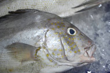 Tayland 'daki balık pazarında satılık taze balıkların yakın çekimi., 