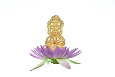 Close-up of a little Buddha statue sitting on a pink lotus flower isolated on white background. clipart