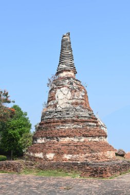 Ayuthaya, Tayland 'daki eski tapınağın yıkılmış tapınağı.. 
