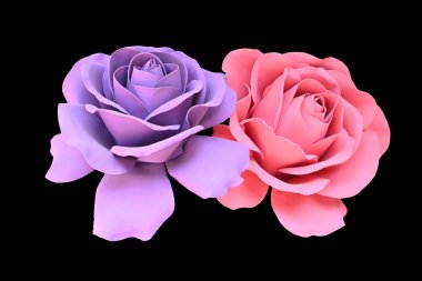 Siyah bir arka planda izole edilmiş renkli köpükten yapılmış güzel güller.