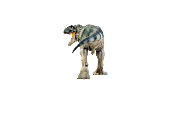 Dinosauro Giganotosaurus Percorso Isolato Ritaglio Sfondo — Foto Stock