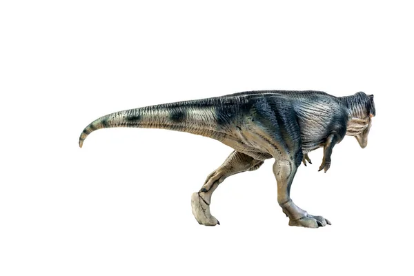 Dinoszaurusz Giganotoszaurusz Izolált Háttér Nyírás Útvonal — Stock Fotó