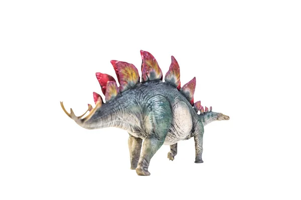 Dinosaurio Stegosaurus Fondo Aislado —  Fotos de Stock