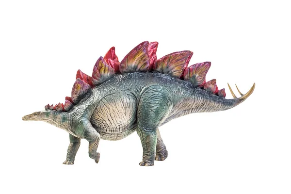 Stegosaurus孤立的背景 — 图库照片