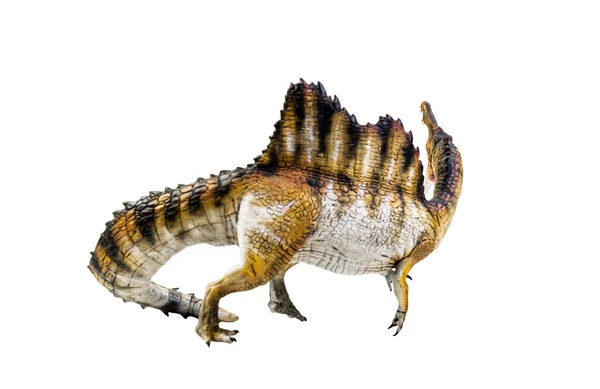 Dinozor Spinosaurus Izole Edilmiş Arka Plan Kırpma Yolu — Stok fotoğraf