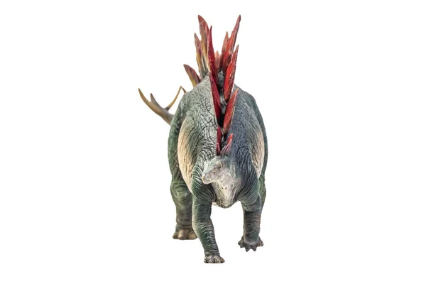 Dinozaur Stegozaur Pojedyncze Tło — Zdjęcie stockowe