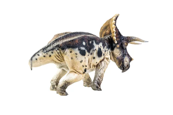 Dinozaur Triceratopsy Odosobnionej Ścieżce Wycinania Tła — Zdjęcie stockowe