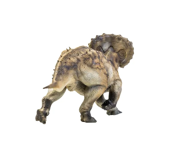 Δεινόσαυρος Triceratops Απομονωμένη Διαδρομή Απόληξης Υποβάθρου — Φωτογραφία Αρχείου