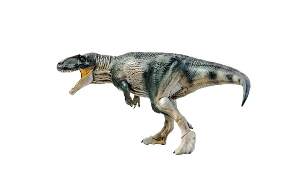 Dinossauro Giganotosaurus Fundo Isolado Recorte Caminho — Fotografia de Stock