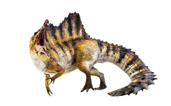 Dinosaurio Spinosaurus Aislado Ruta Recorte Fondo — Foto de Stock