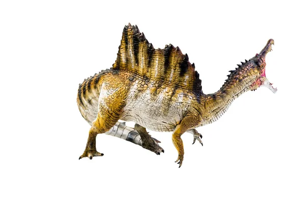 Динозавр Спінозавр Ізольований Фон Відсікаючий Контур — стокове фото