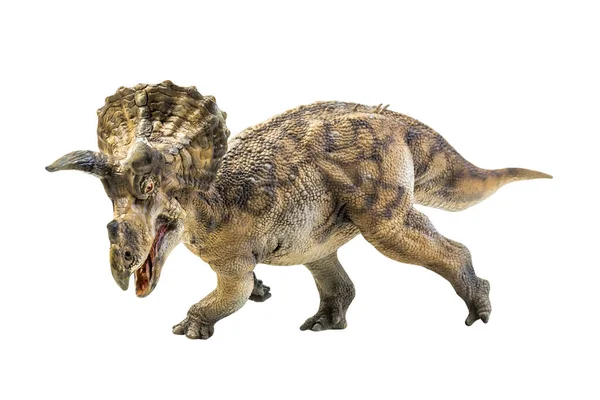 Dinozaur Triceratopsy Odosobnionej Ścieżce Wycinania Tła — Zdjęcie stockowe