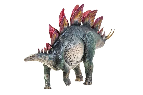 Dinosaurio Stegosaurus Fondo Aislado — Foto de Stock