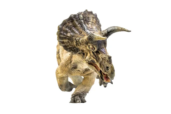 Δεινόσαυρος Triceratops Απομονωμένη Διαδρομή Απόληξης Υποβάθρου — Φωτογραφία Αρχείου