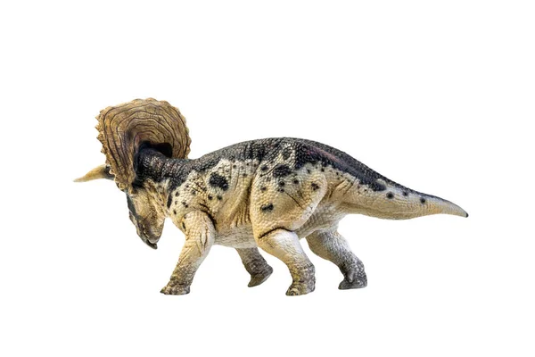 Dinosauro Triceratops Percorso Ritaglio Sfondo Isolato — Foto Stock