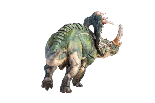 Dinozaur Sinoceratops Izolowana Ścieżka Wycinania Tła — Zdjęcie stockowe