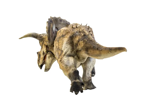 Dinosaure Tricératops Sur Fond Isolé Chemin Coupe — Photo