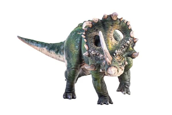 Dinozor Sinoceratops Arka Plan Kırpma Yolunu Izole Etti — Stok fotoğraf