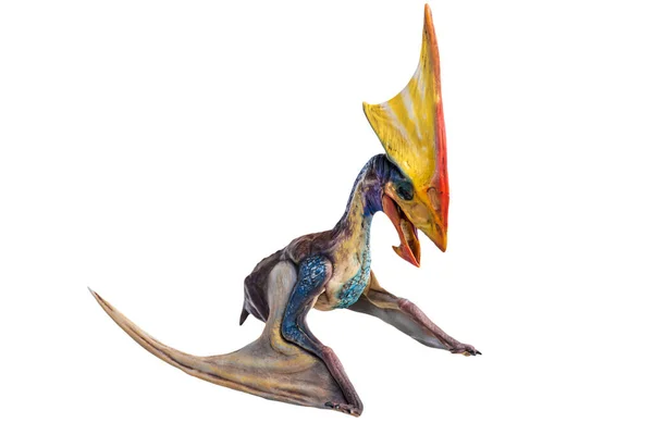Dinozor Tupandactylus Arka Plan Kırpma Yolunu Izole Etti — Stok fotoğraf