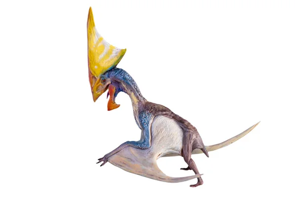 Динозавр Tupandactylus Изолированный Фоновый Клипинг Путь — стоковое фото