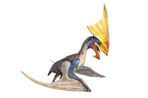 Dinosaurus Tupandactylus Geïsoleerde Achtergrond Clipping Pad — Stockfoto