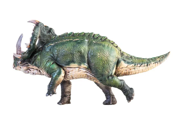 Dinosaurio Sinoceratops Aislado Ruta Recorte Fondo — Foto de Stock