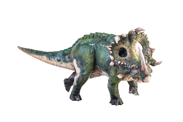 Dinozor Sinoceratops Arka Plan Kırpma Yolunu Izole Etti — Stok fotoğraf