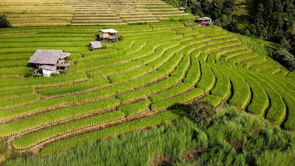 Aerial View Rice Terrace Ban Bong Piang Chiang Mai Thailand — Stock Photo, Image