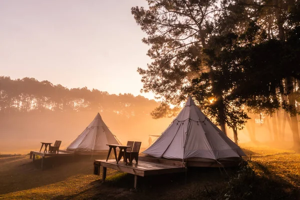Zeltlager Morgen Thung Salaeng Luang Nationalpark Der Provinz Phetchabun Thailand — Stockfoto