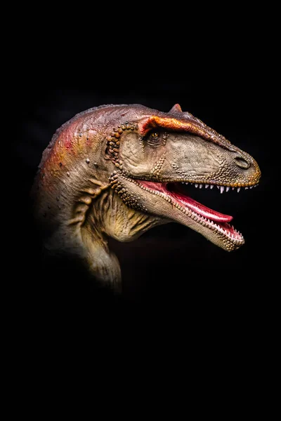 Head Carcharodontosaurus Dark Dinosaur Black Background — Stok fotoğraf