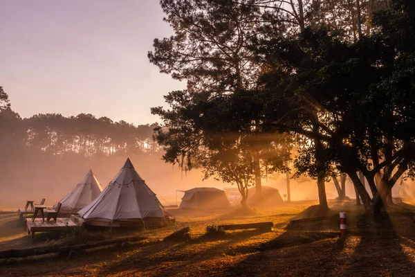 Tent Camping Morning Thung Salaeng Luang National Park Phetchabun Province — Stock Photo, Image