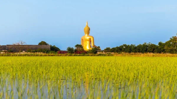 タイのアン トン県の重要な宗教観光地であるワット ムアンにある大きな黄金の仏像の裏側 — ストック写真