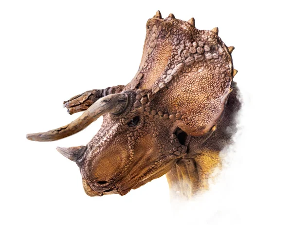 トリケラトプスの頭 孤立した背景の恐竜 — ストック写真