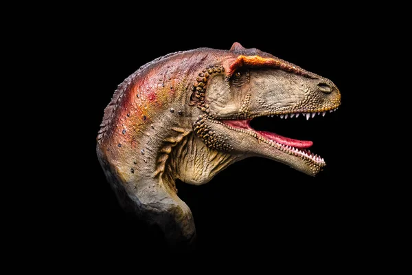 Head Carcharodontosaurus Dark Dinosaur Black Background — Stock Fotó
