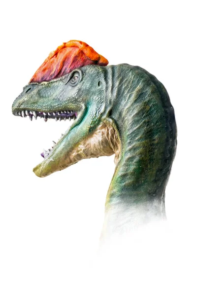 Cabeza Dilophosaurus Dinosaurio Sobre Fondo Aislado — Foto de Stock