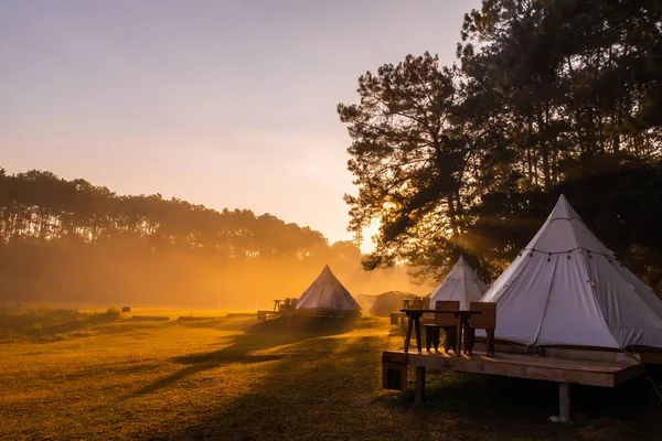 Палаточный Лагерь Утрам Национальном Парке Тхунг Салаенг Луанг Пхетчабун Таиланд — стоковое фото