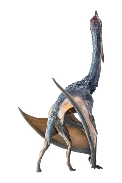 Pteroszaurusz Dinoszaurusz Izolált Alapon — Stock Fotó