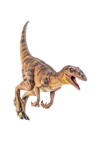 Dinossauro Velociraptor Isolado Fundo — Fotografia de Stock