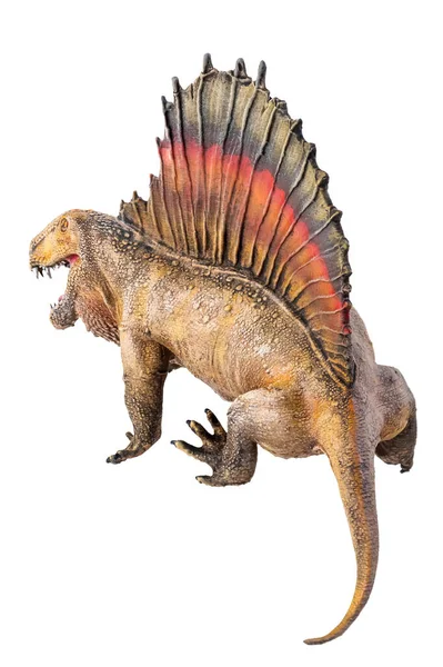 Dinozor Dimetrodon Izole Edilmiş Arka Plan — Stok fotoğraf