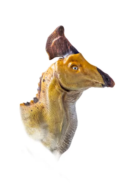 Cabeça Olorotitan Dinossauro Fundo Isolado — Fotografia de Stock
