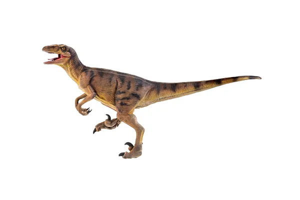 Dinosaurio Velociraptor Aislado Fondo — Foto de Stock