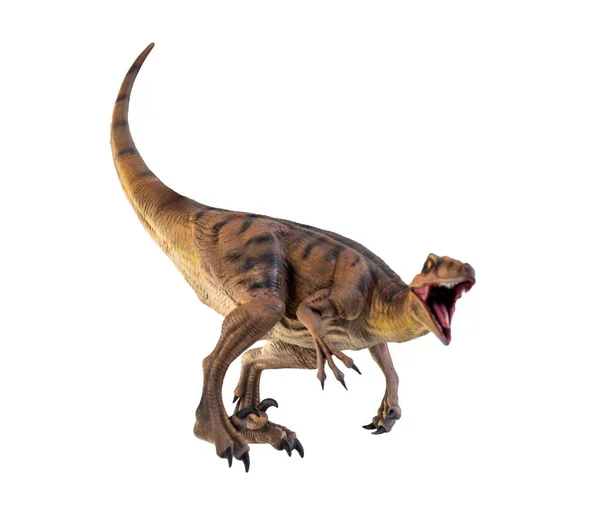 Dinosauro Velociraptor Sfondo Isolato — Foto Stock