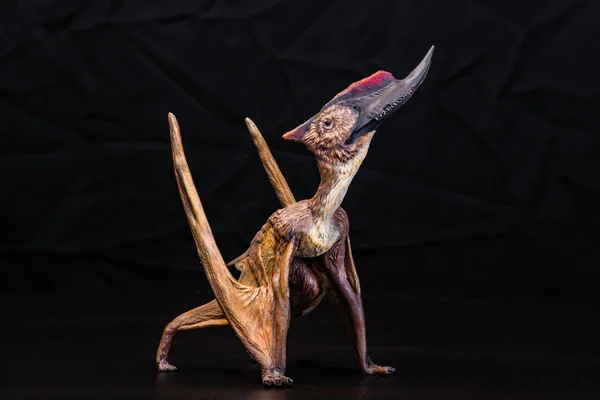 Динозавр Денаріптера Темряві — стокове фото