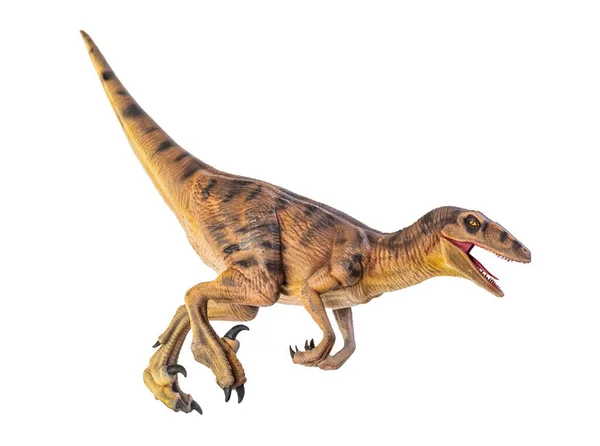 Dinosaurus Velociraptor Geïsoleerde Achtergrond — Stockfoto