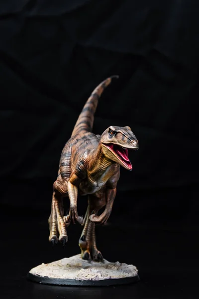 Dinosaure Vélociraptor Dans Noir — Photo