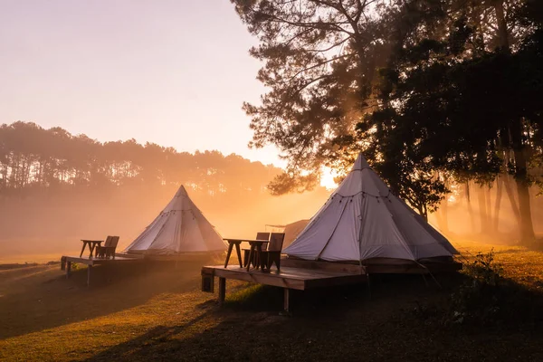 Палаточный Лагерь Утрам Национальном Парке Тхунг Салаенг Луанг Пхетчабун Таиланд — стоковое фото