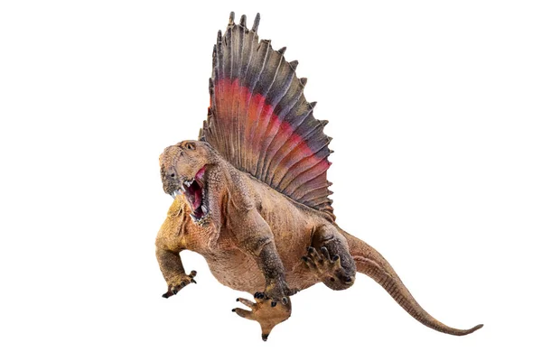 Dinossauro Dimetrodon Isolado Fundo — Fotografia de Stock
