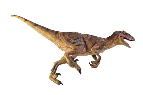 恐竜ヴェロキラプトル隔離された背景 — ストック写真