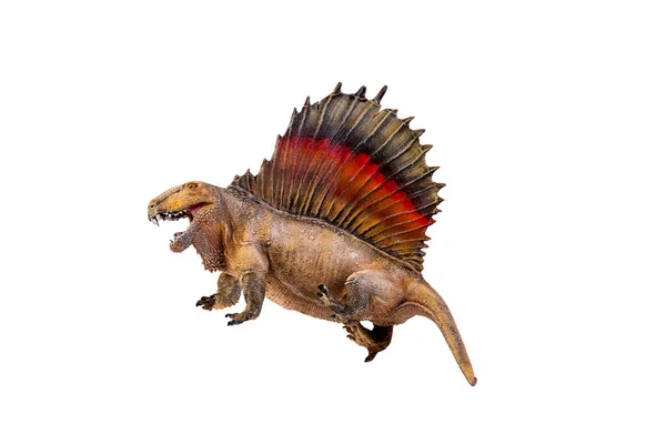 Dinossauro Dimetrodon Isolado Fundo — Fotografia de Stock