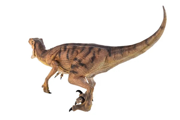 恐竜ヴェロキラプトル隔離された背景 — ストック写真